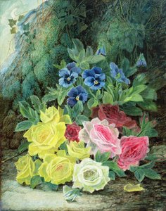 Rozen